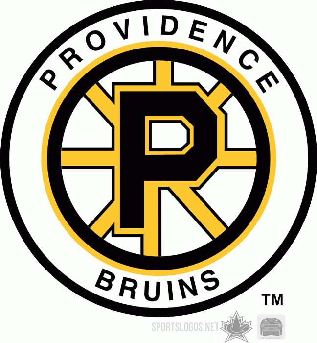 Providence Bruins 1995 96-Pres Alternate Logo iron on transfers for clothing